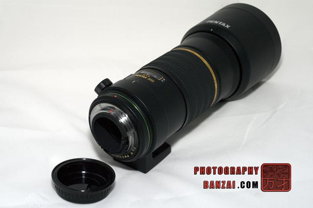 Lens Review: Pentax DA* 300mm F4 SDM – Scott's Photography Banzai