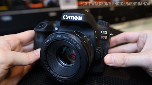 Canon EOS 90D Review – Scott's Photography Banzai