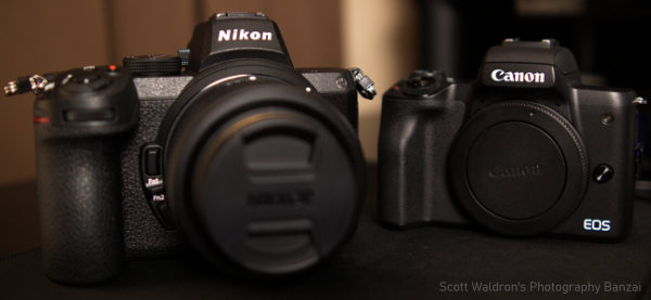 I bought a Nikon Z5 – Scott's Photography Banzai